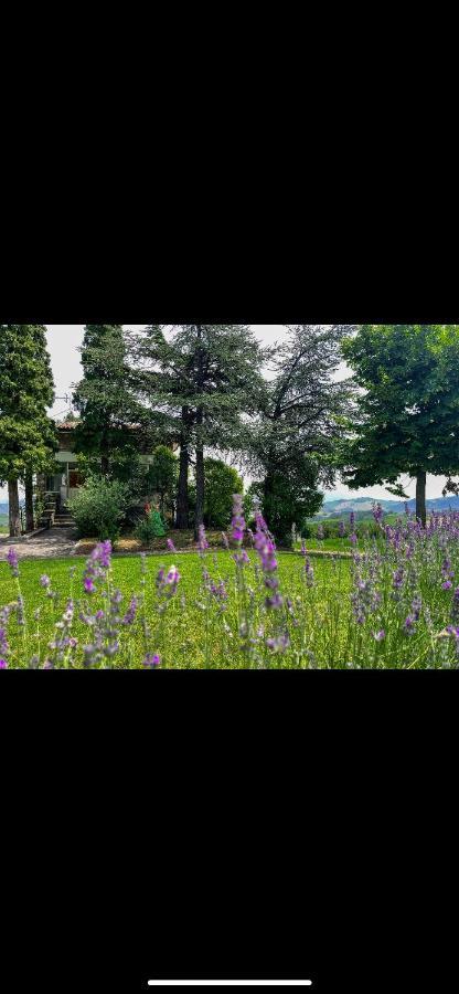 La Baita Nei Boschi Villa Serramazzoni Bagian luar foto