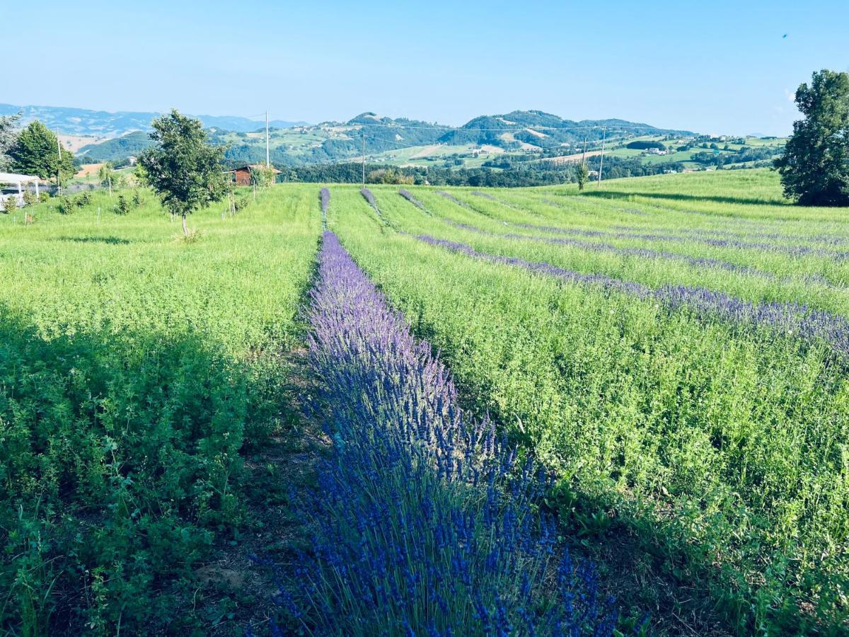 La Baita Nei Boschi Villa Serramazzoni Bagian luar foto