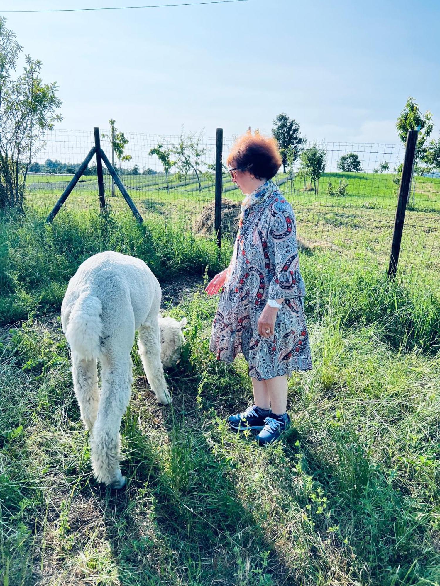 La Baita Nei Boschi Villa Serramazzoni Bagian luar foto